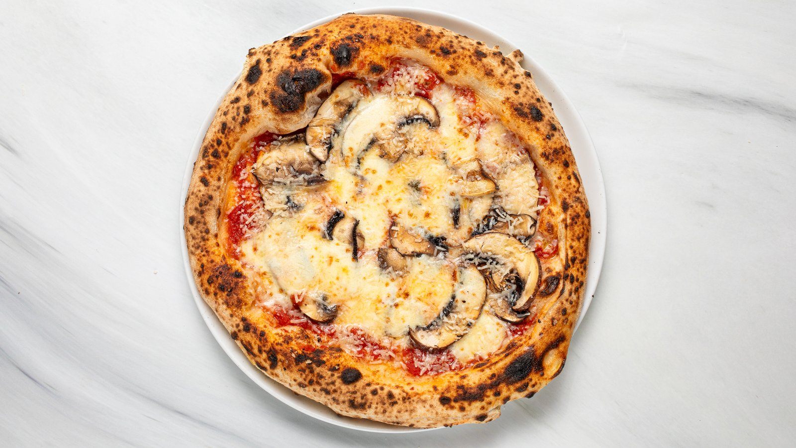 FUNGHI