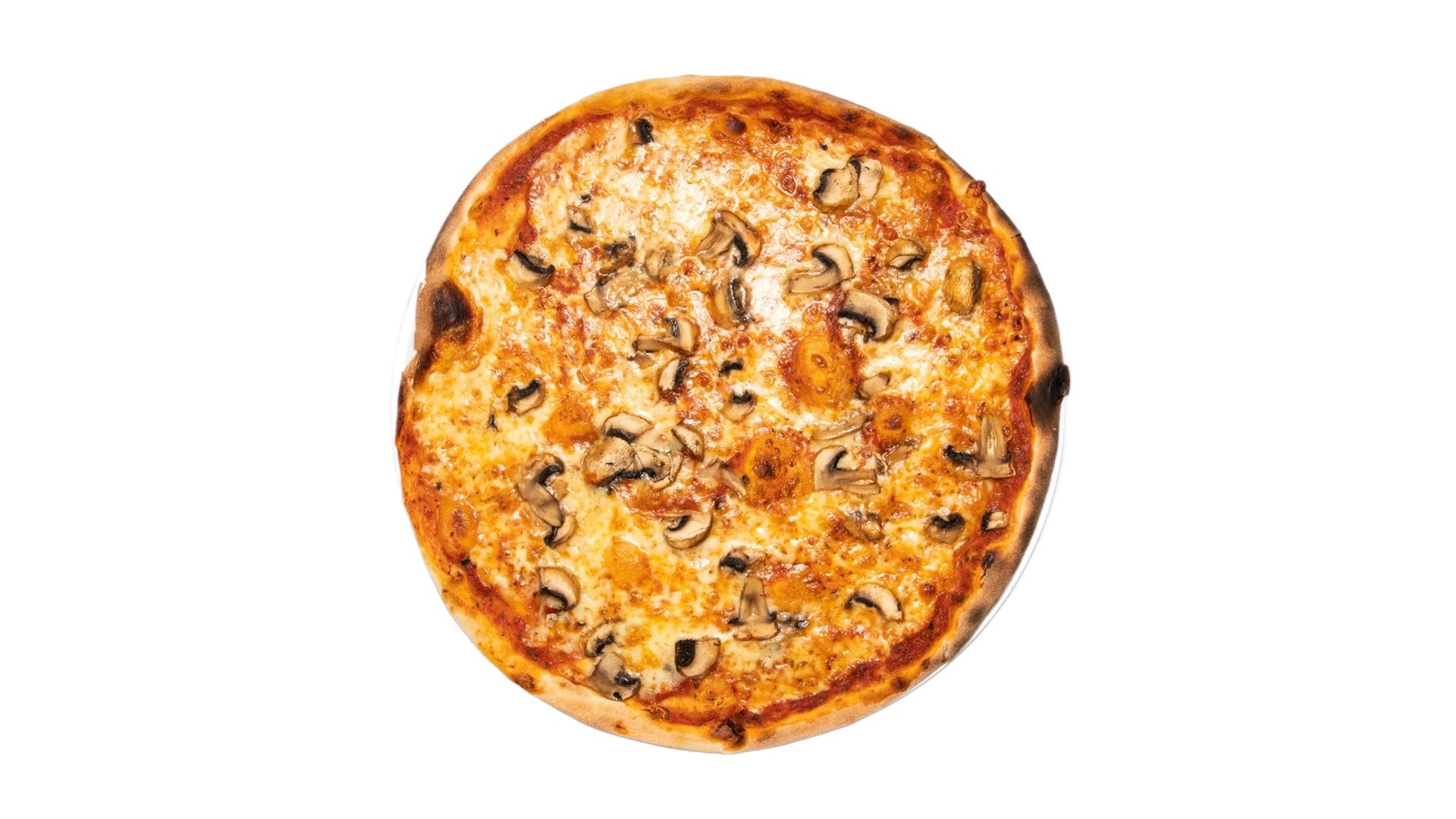 FUNGHI