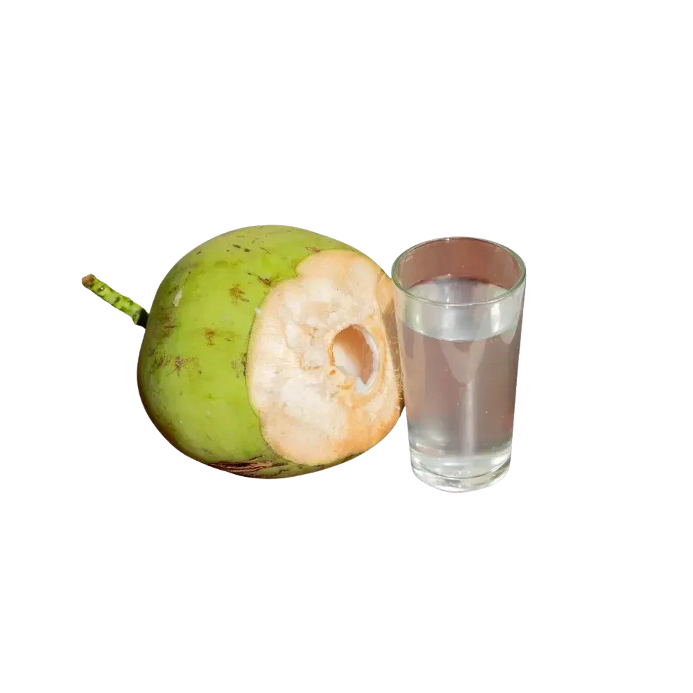 Coconut Water