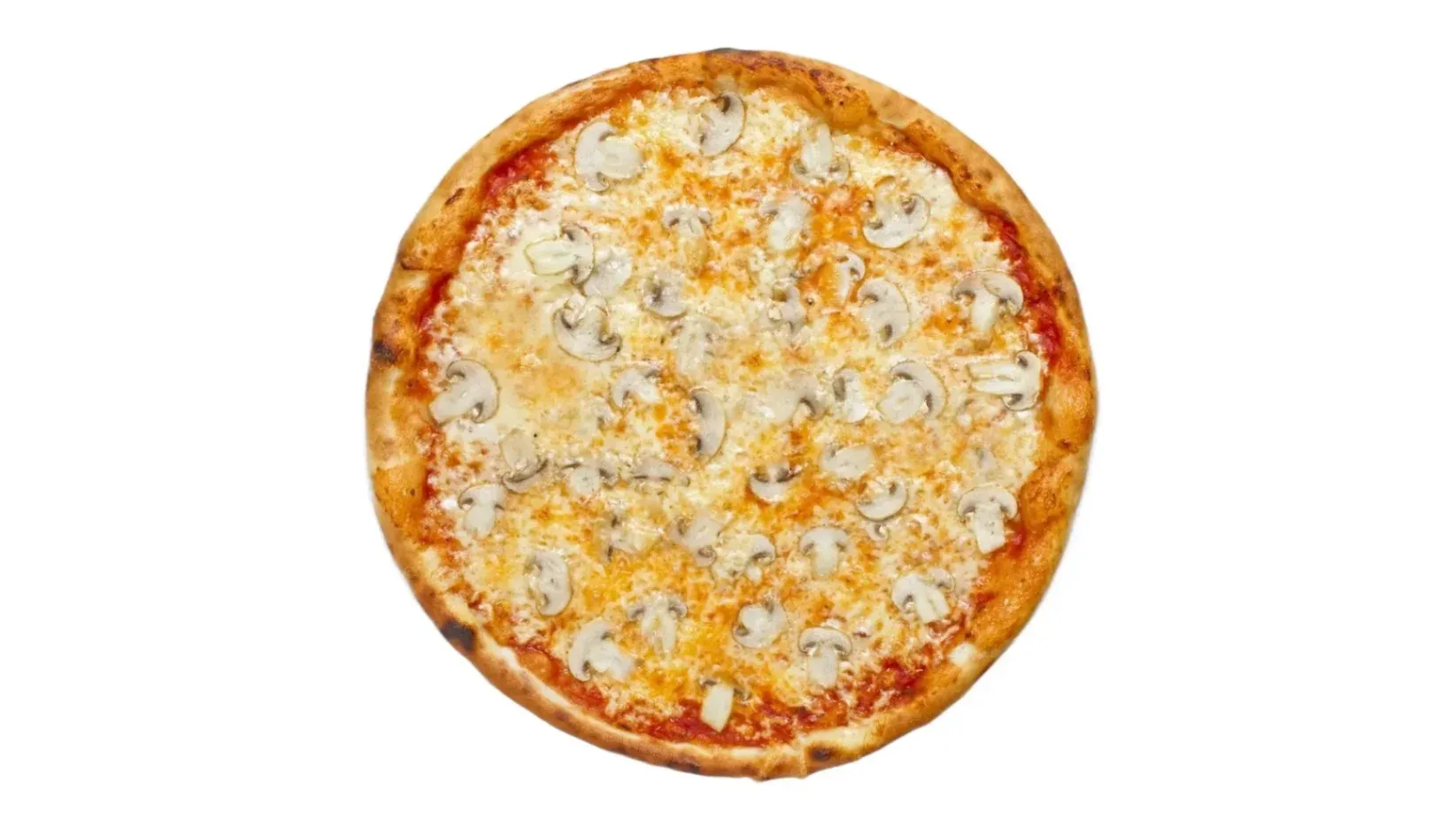 Funghi